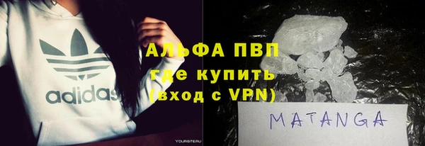 амф Гусев