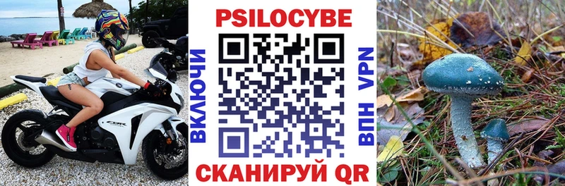 Псилоцибиновые грибы прущие грибы  что такое наркотик  кракен вход  Зеленогорск 